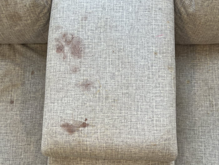 Berry stains on a couch